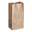 Natural Kraft Paper Bag - 500 Bundle
