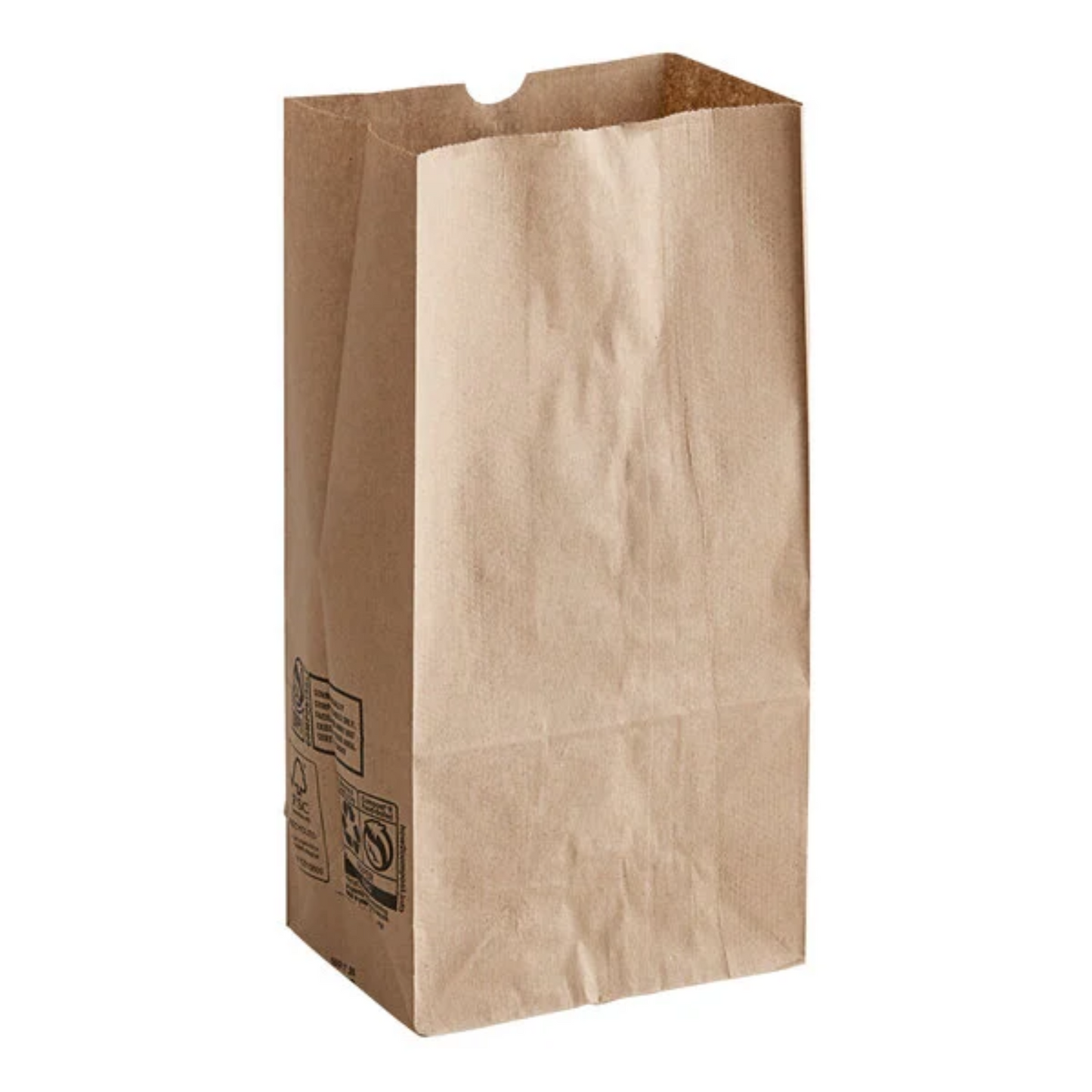 Natural Kraft Paper Bag - 500 Bundle