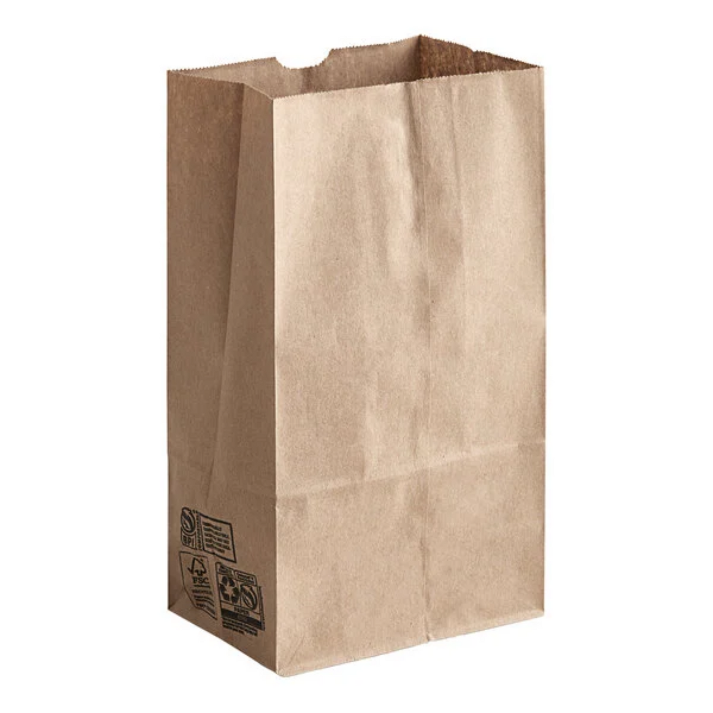 Natural Kraft Paper Bag - 500 Bundle