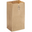 Natural Kraft Paper Bag - 500 Bundle